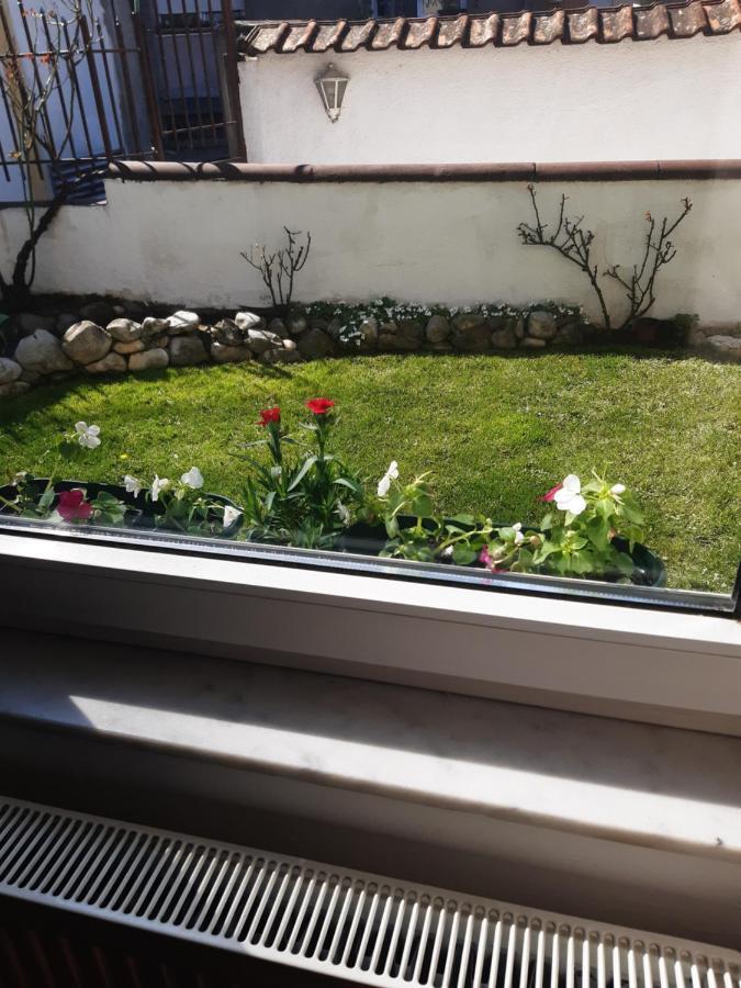 Apartman Mitic Požarevac 外观 照片